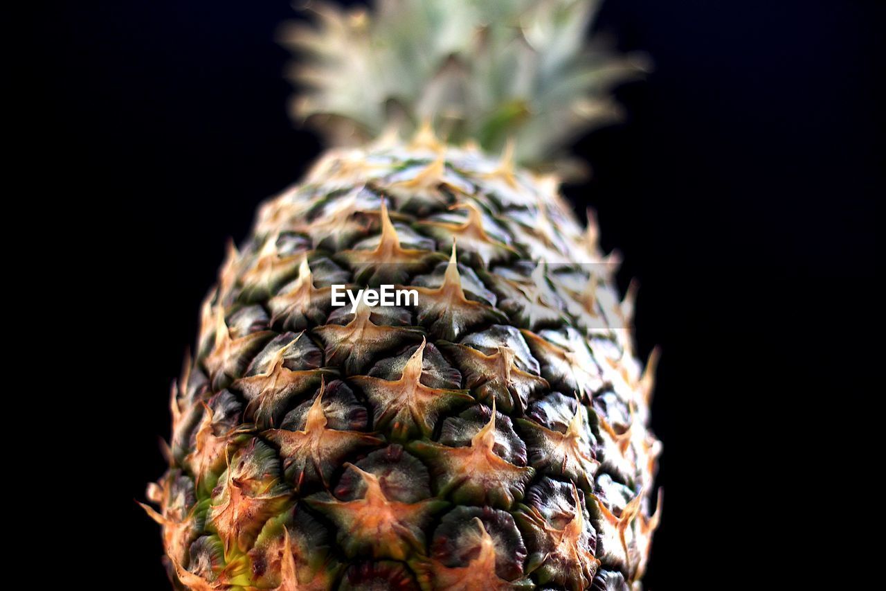 CLOSE-UP OF BANANA AGAINST BLACK BACKGROUND