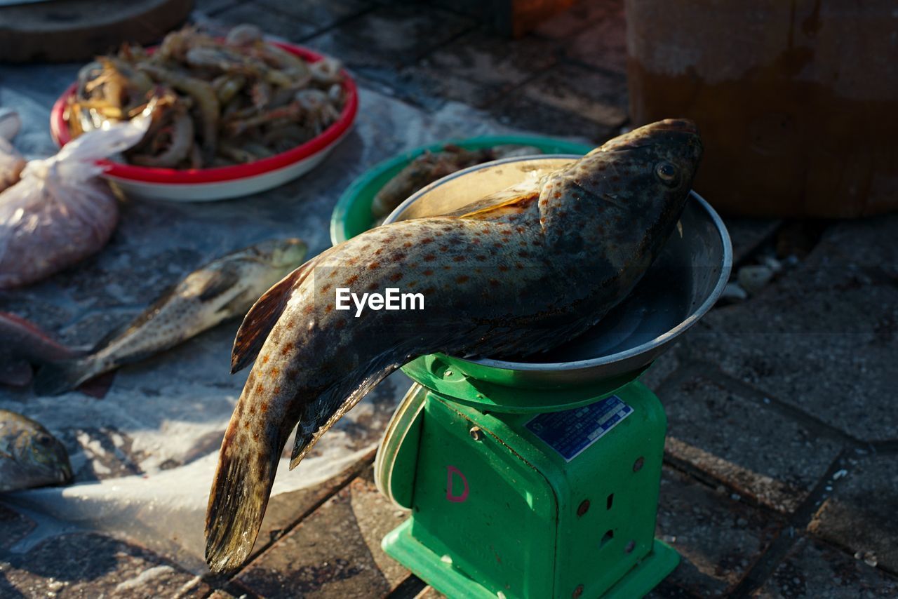 Fresh fish on scales, fish market, vietnam