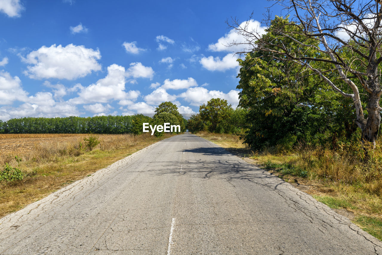 Country road in the countryside