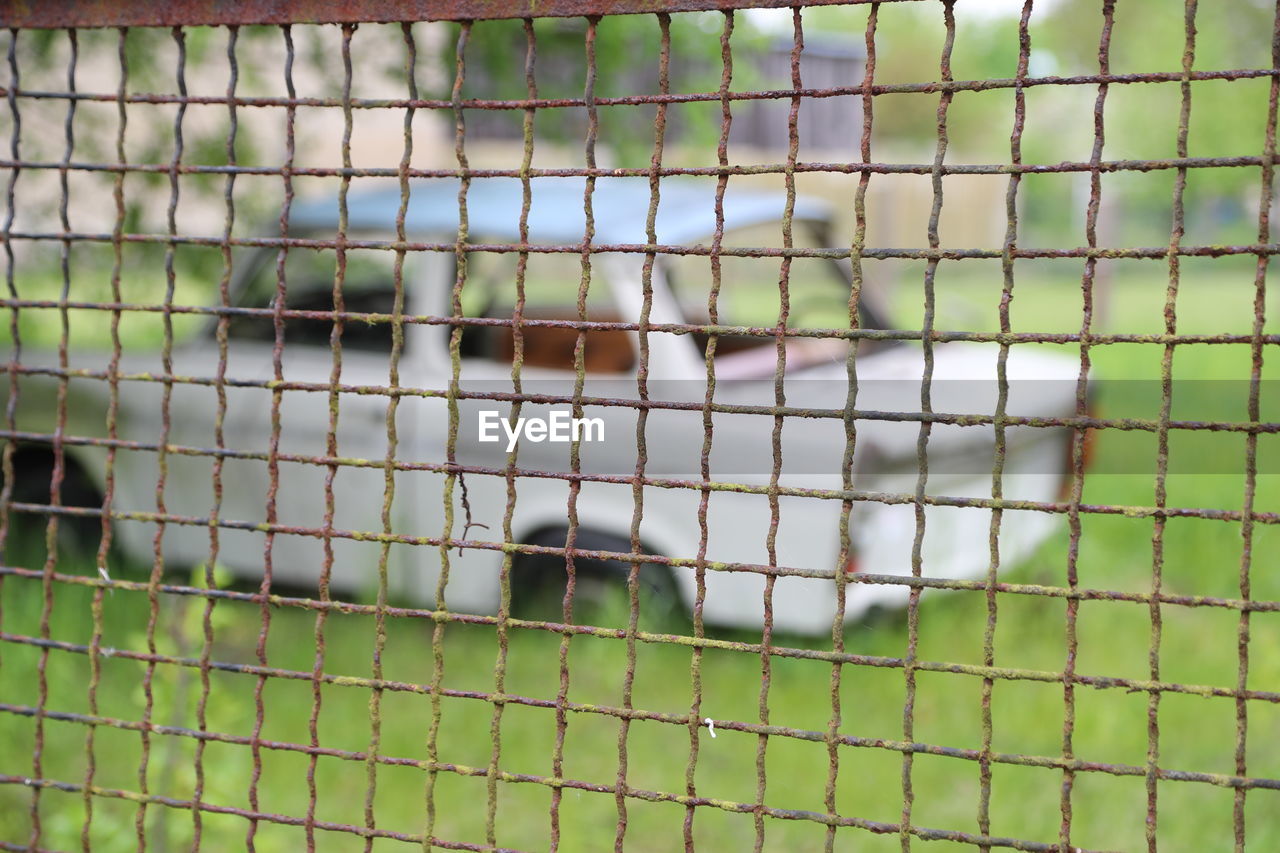 CLOSE-UP OF CAT IN CAGE