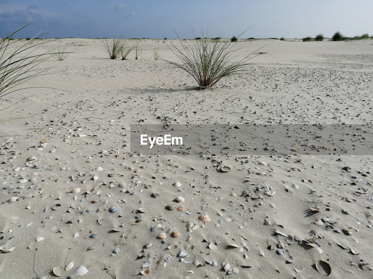 SURFACE LEVEL OF SAND AGAINST THE SKY