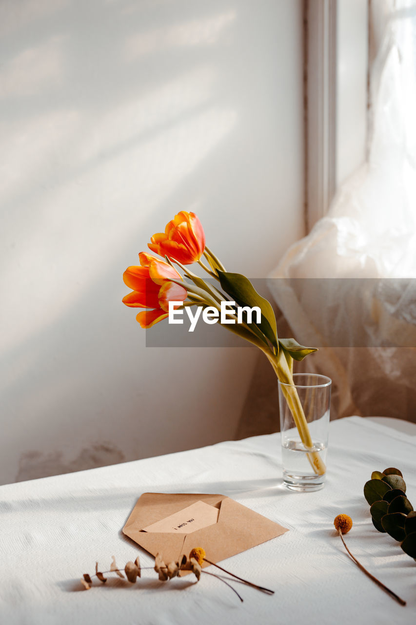 Blooming tulips in water placed on white tablecloth near opened envelope and window