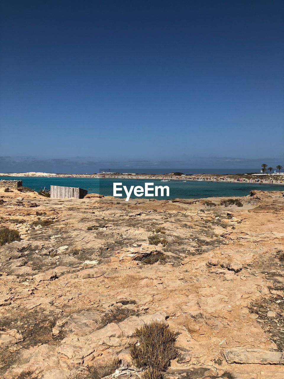 SCENIC VIEW OF BEACH AGAINST CLEAR SKY