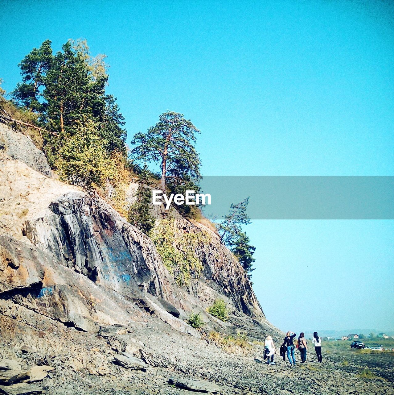 PEOPLE ON TREE AGAINST CLEAR SKY