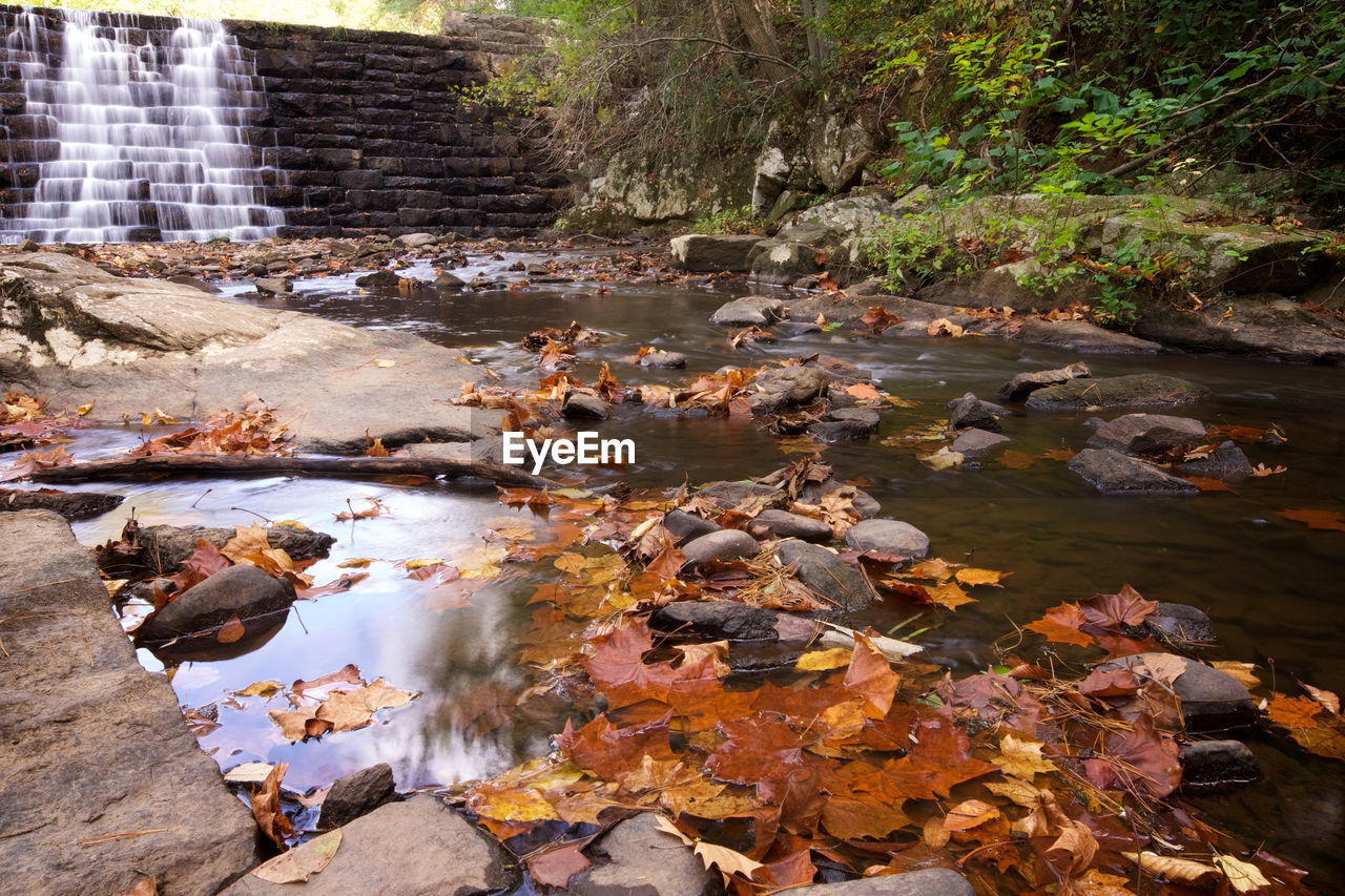 Scenic view of lake during autumn