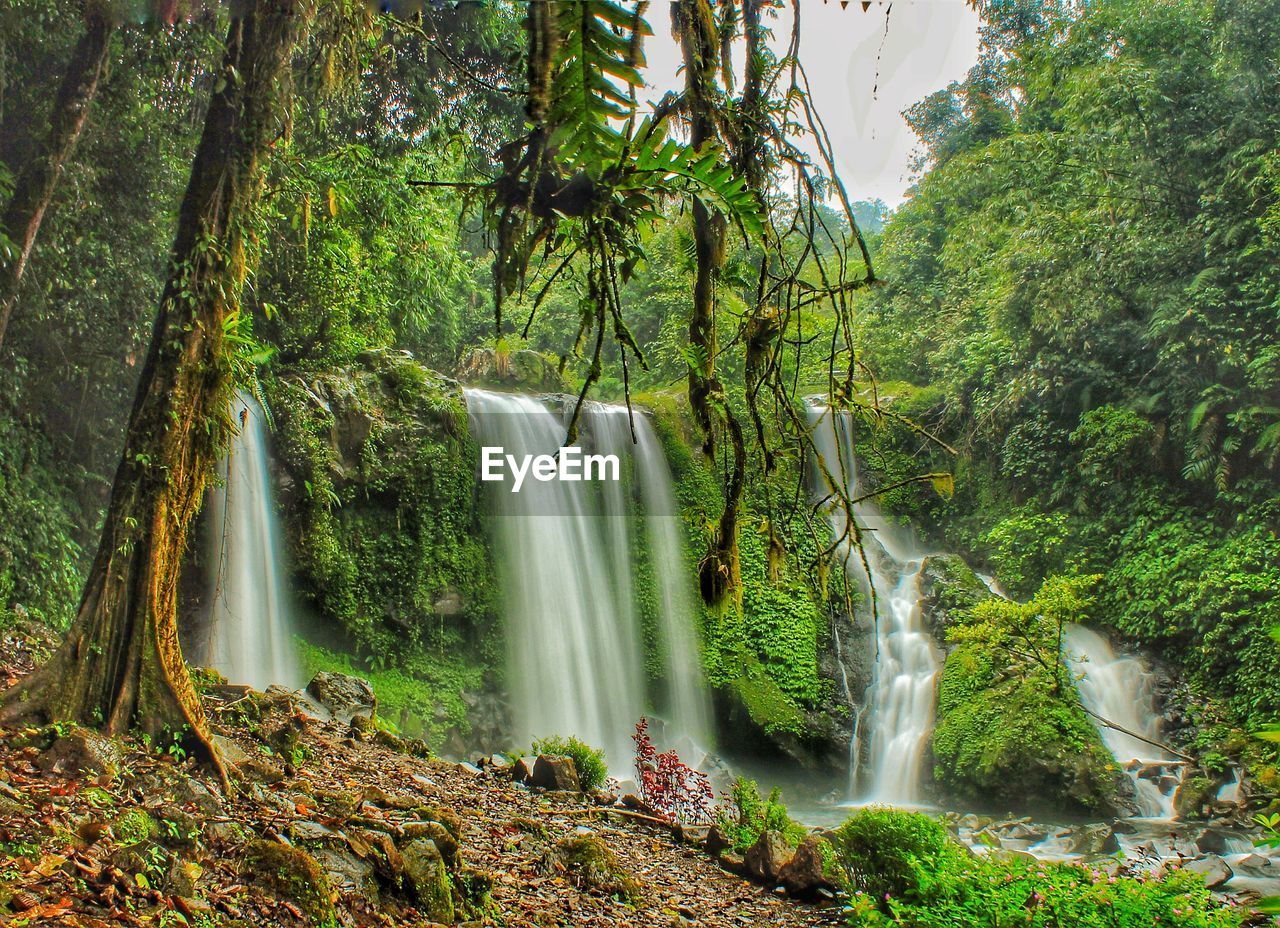 SCENIC VIEW OF WATERFALL