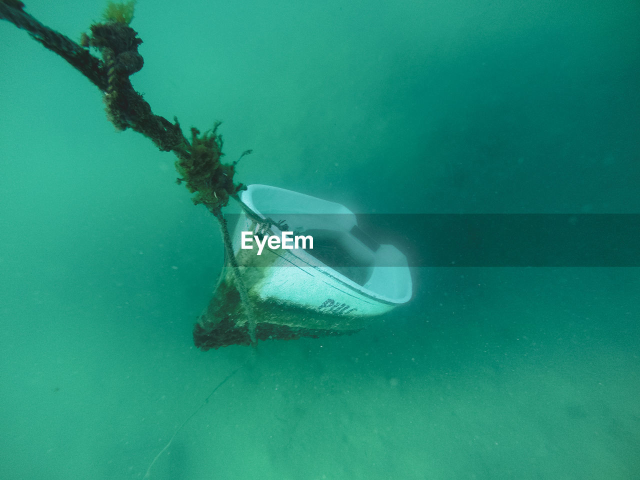 Boat swimming in sea