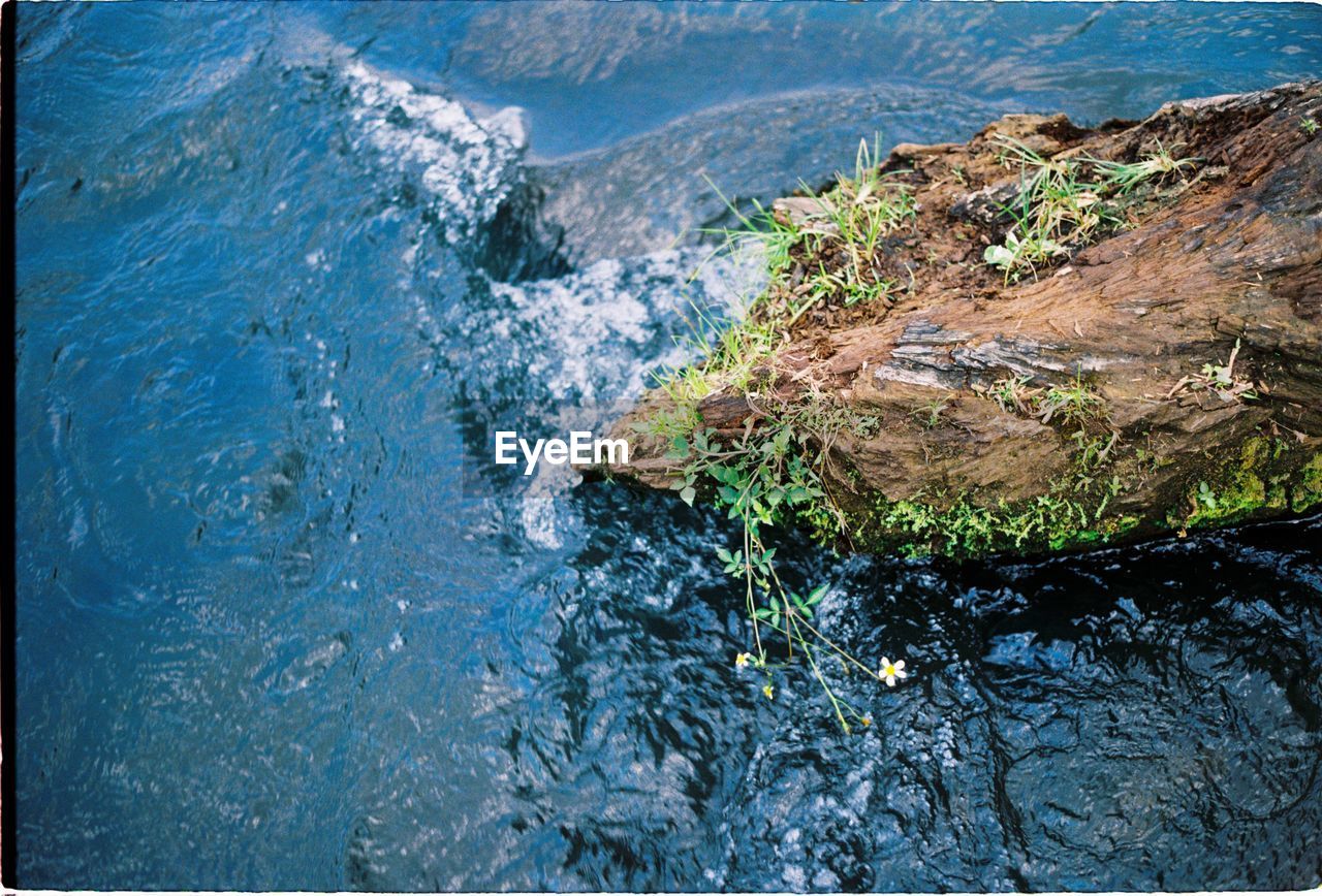 High angle view of rocks in sea