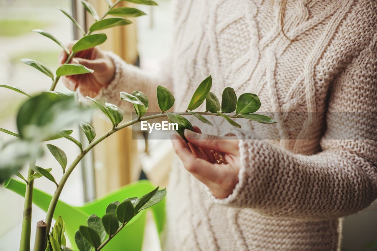 Midsection of woman touching plant