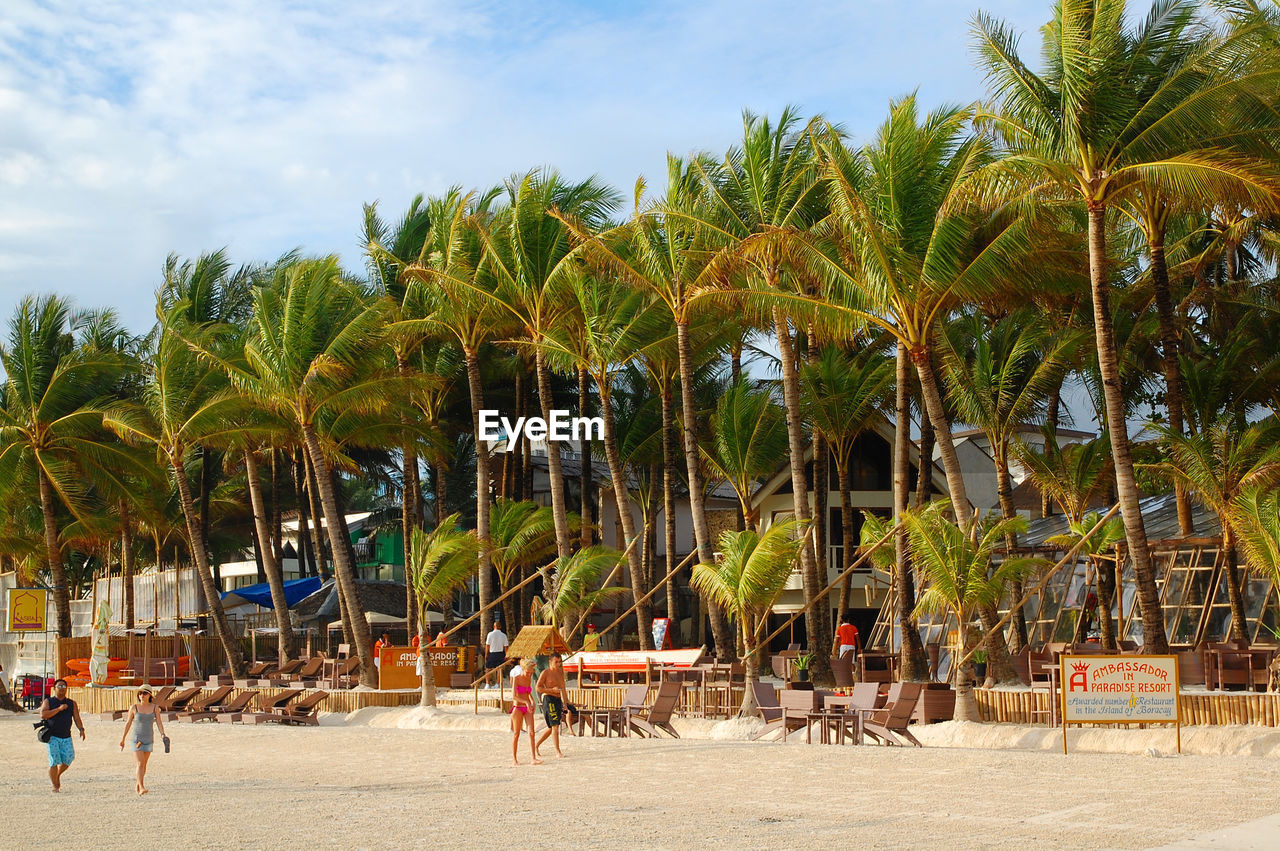 GROUP OF PEOPLE ON BEACH AGAINST TREES