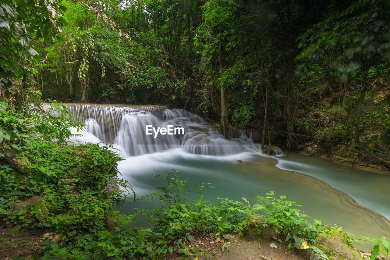 VIEW OF WATERFALL IN FOREST