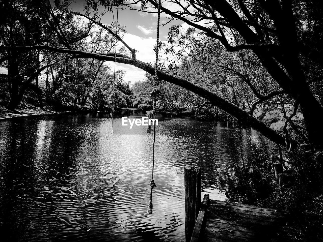 VIEW OF RIVER WITH TREES IN BACKGROUND