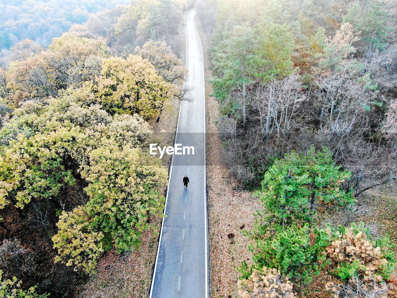 Aerial view of man walking on road amidst trees