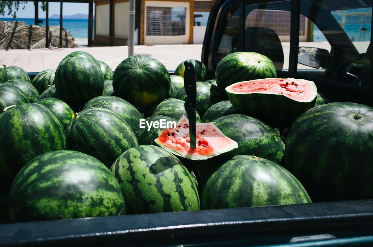 Fresh watermelons in pick-up truck