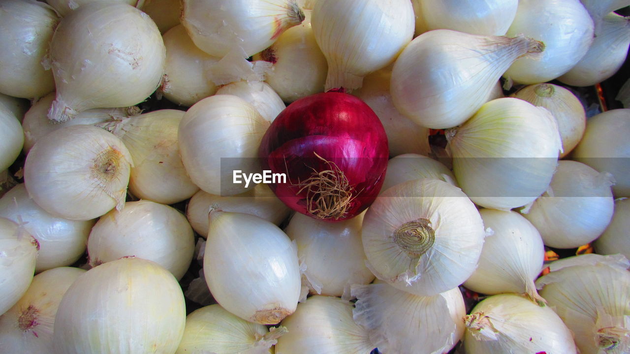 White and red onions