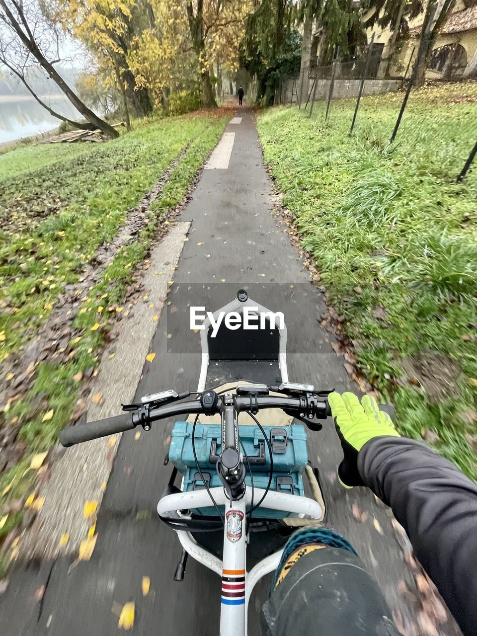 transportation, personal perspective, mode of transportation, vehicle, plant, nature, road, the way forward, day, tree, one person, outdoors, land vehicle, diminishing perspective, handlebar