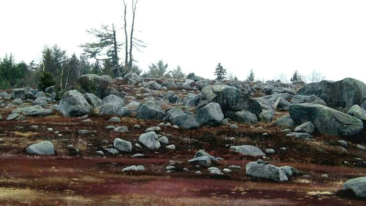 VIEW OF ROCKS AGAINST CLEAR SKY