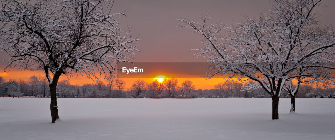 BARE TREES ON SNOW COVERED LANDSCAPE AGAINST SUNSET