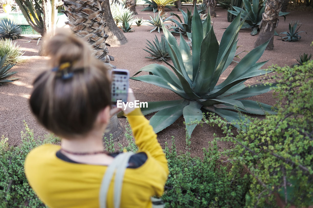 Rear view of girl photographing plants through smart phone at park