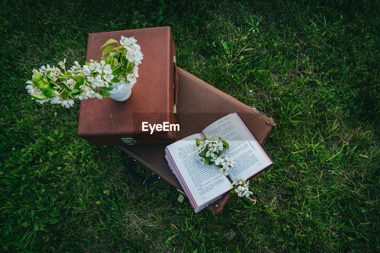 HIGH ANGLE VIEW OF OPEN BOOKS ON FIELD