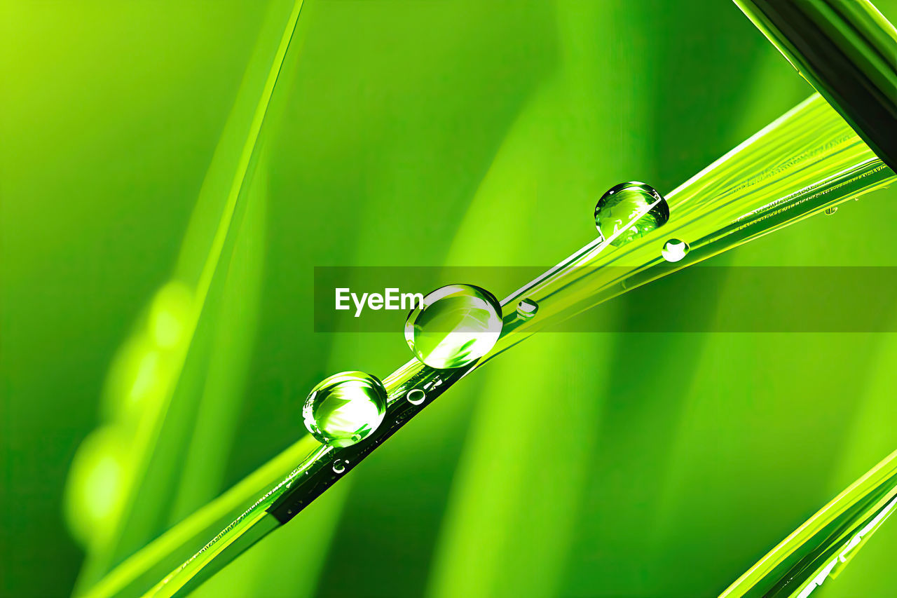 green, grass, yellow, moisture, dew, macro photography, nature, leaf, close-up, no people, drop, plant, water, plant part, plant stem, blade of grass, wet, beauty in nature, environment, outdoors, macro, focus on foreground, growth, freshness