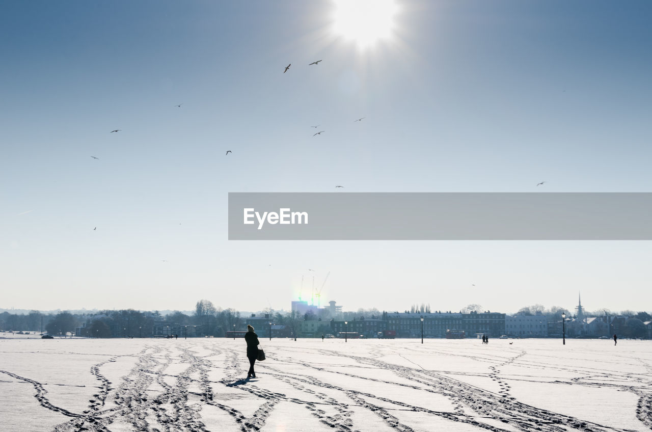 People and birds in flight on a sunlight snowy field at blackheath common in winter 