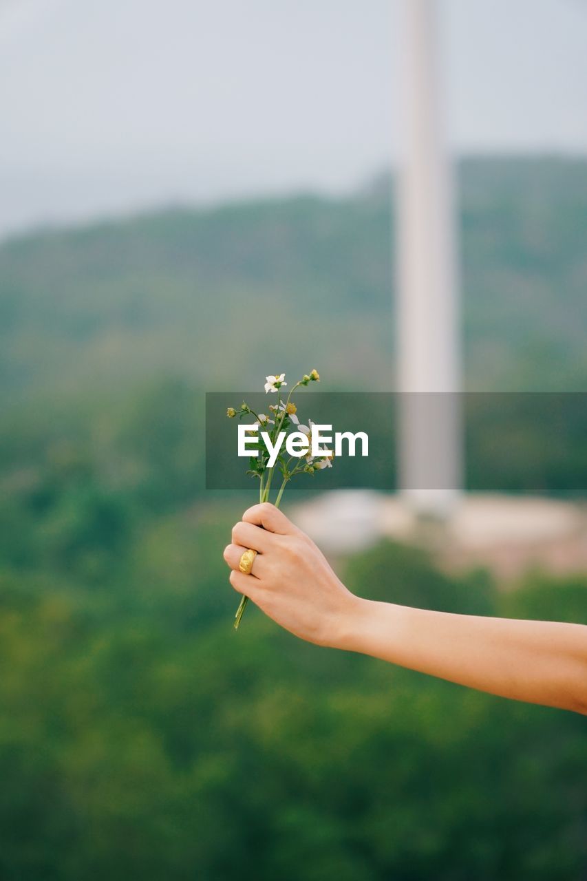 Midsection of woman holding flower on field