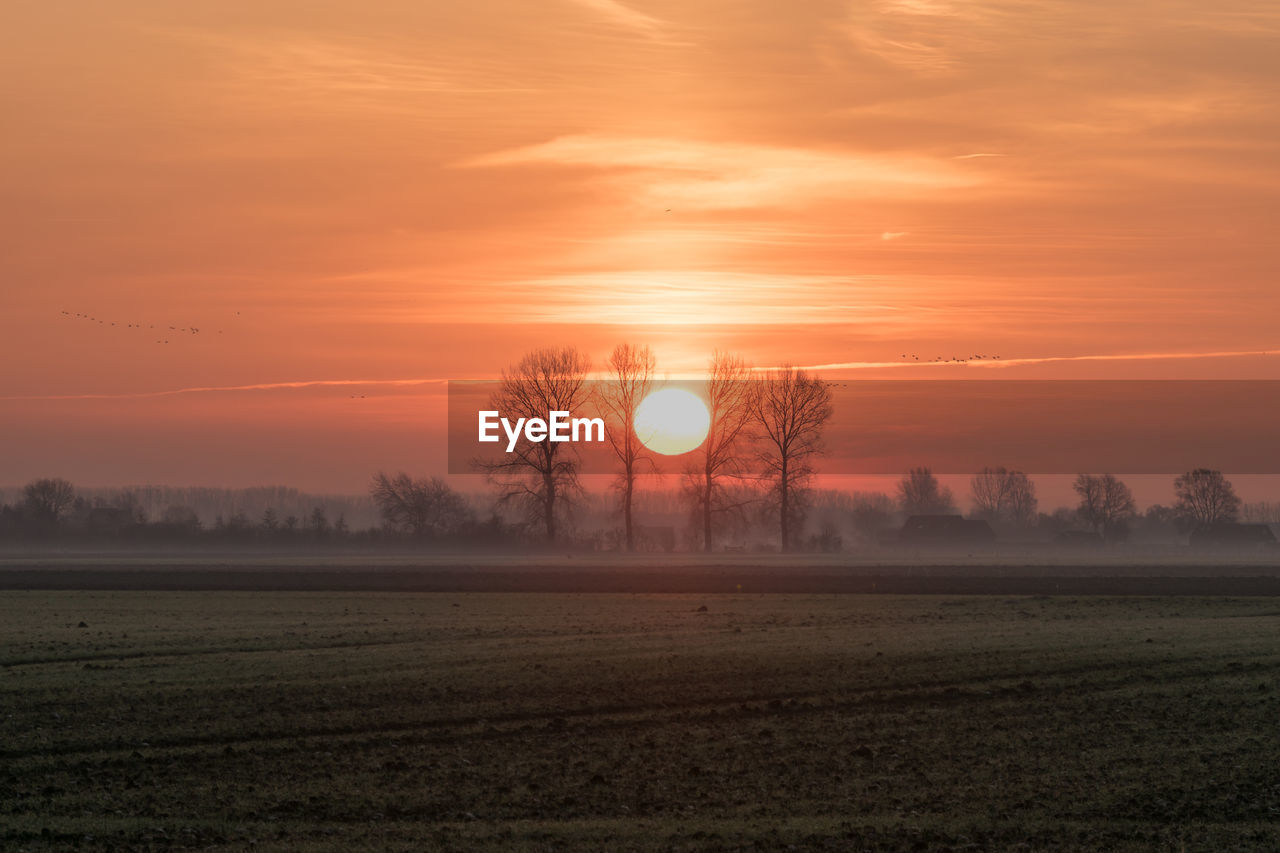 Scenic view of field against sky during sunset