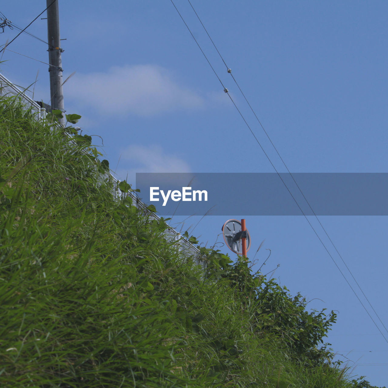 sky, cable, nature, plant, overhead power line, electricity, low angle view, day, one person, tree, technology, safety harness, men, outdoors, land, blue, adventure, protection, rope, grass, adult, tower, power generation, occupation, power line, electricity pylon, power supply, wind, warning sign, green, full length, communication, leisure activity, risk, mast, sign, sports, growth, helmet, environment, headwear