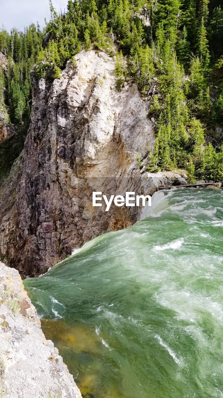 SCENIC VIEW OF RIVER AMIDST TREES