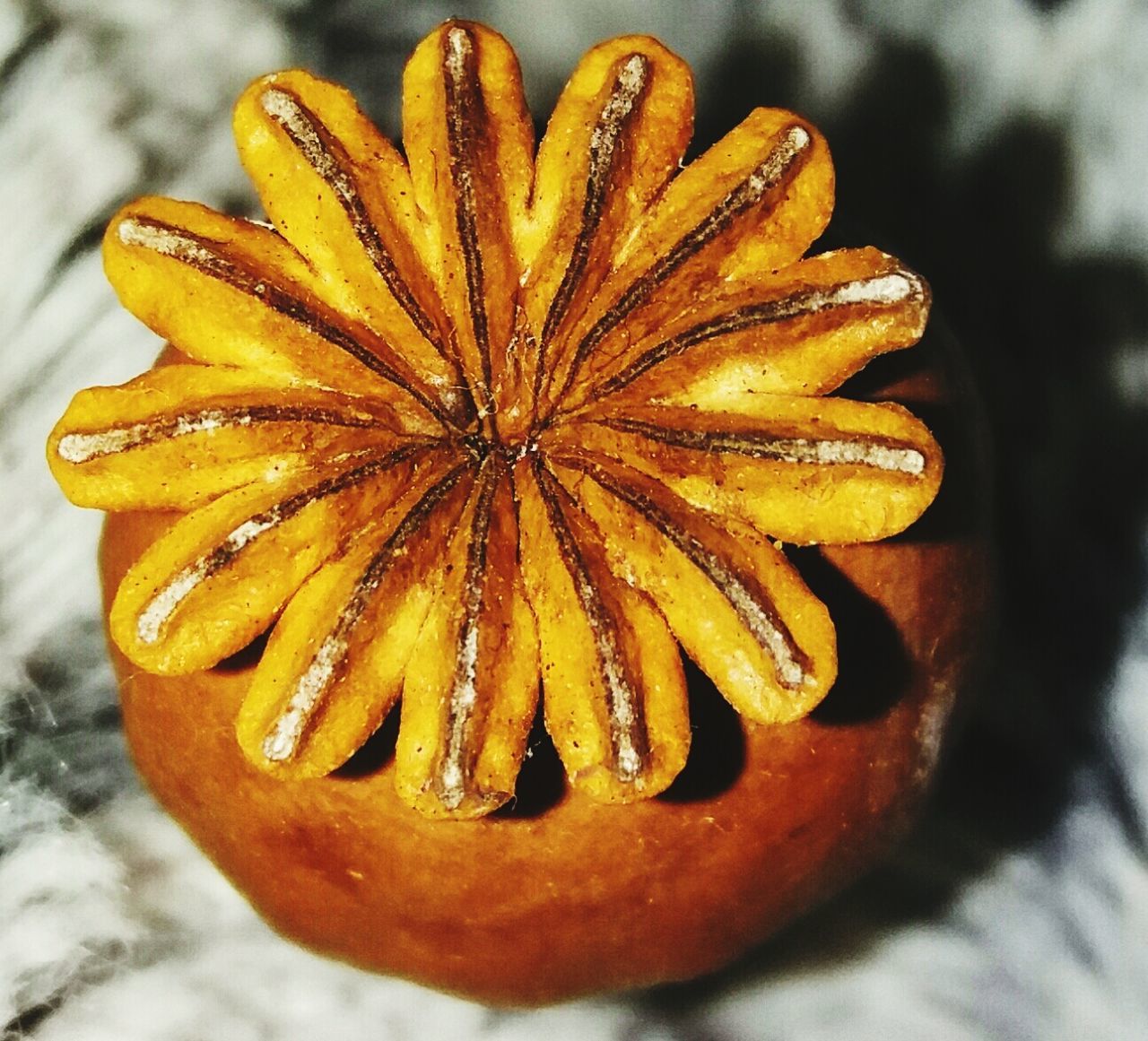 CLOSE-UP VIEW OF FLOWER