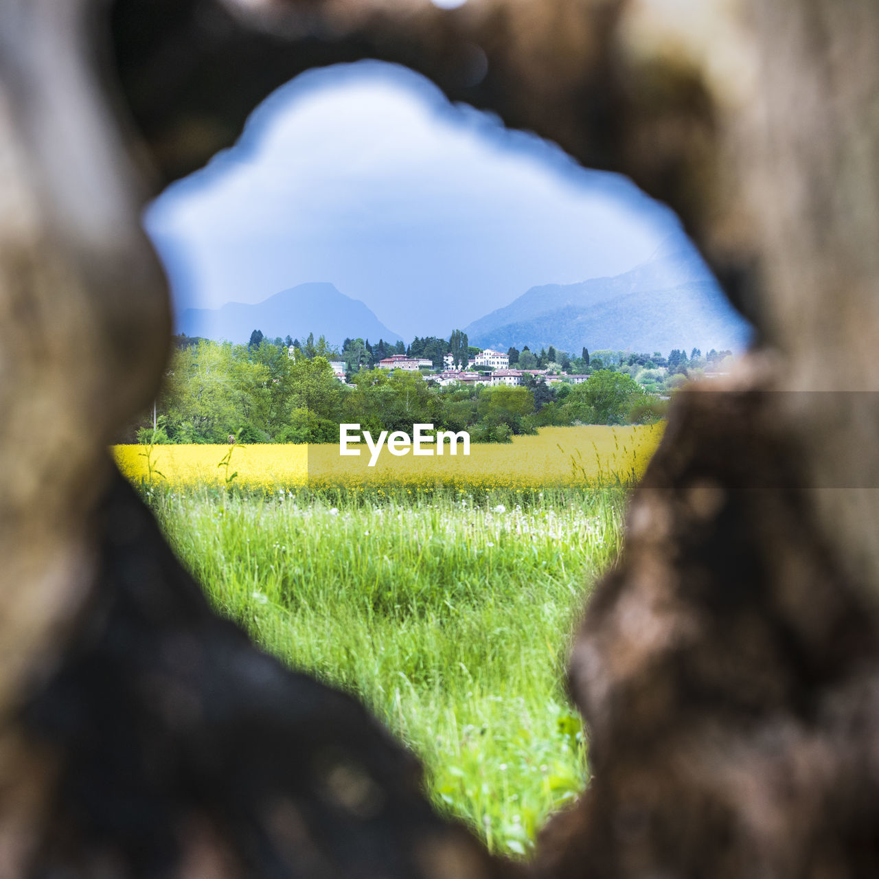 SCENIC VIEW OF AGRICULTURAL FIELD