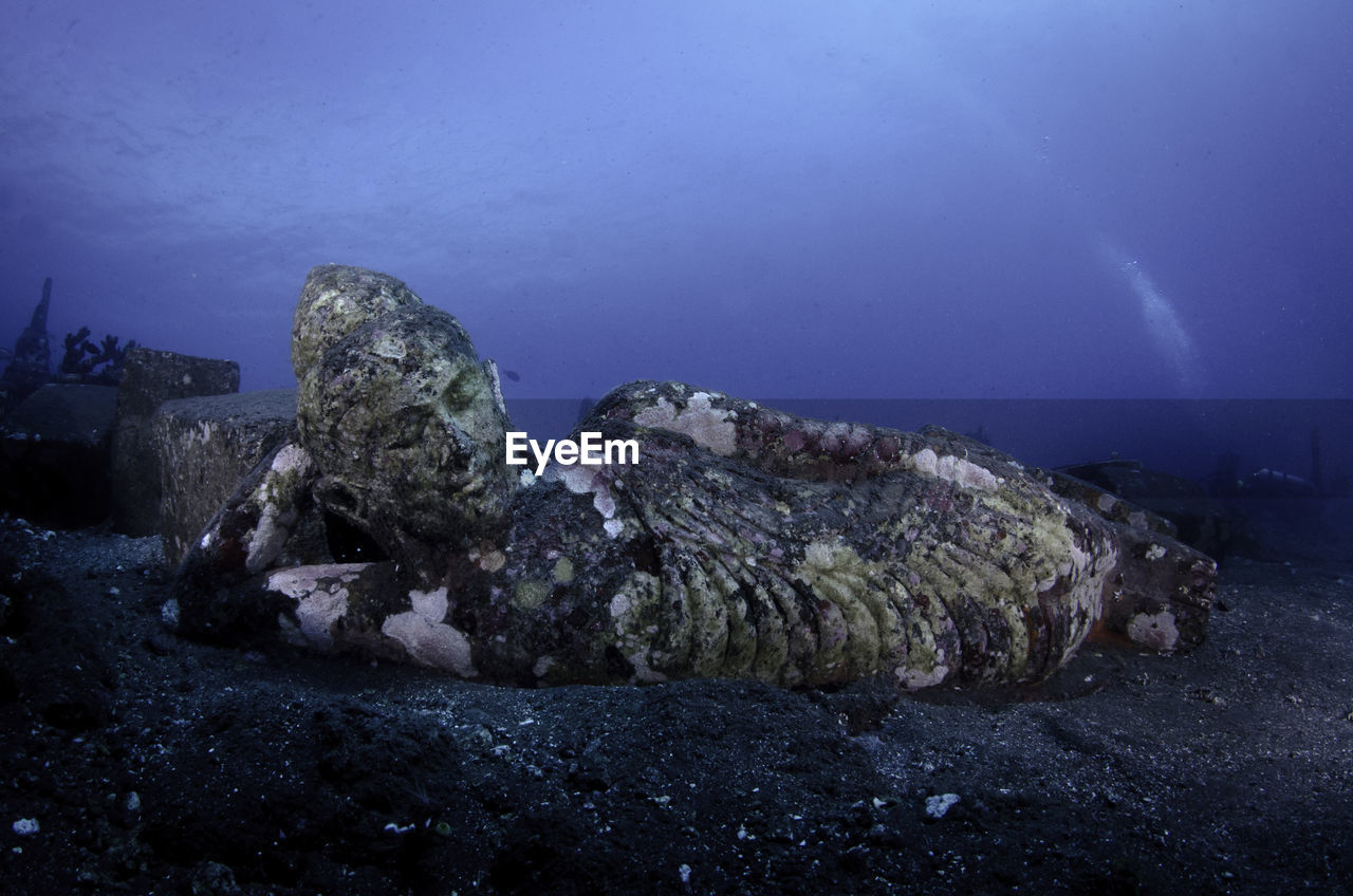 Abandoned buddha statue in sea