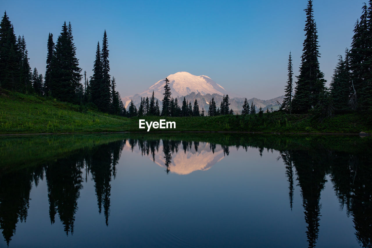 Scenic view of lake by trees against clear sky