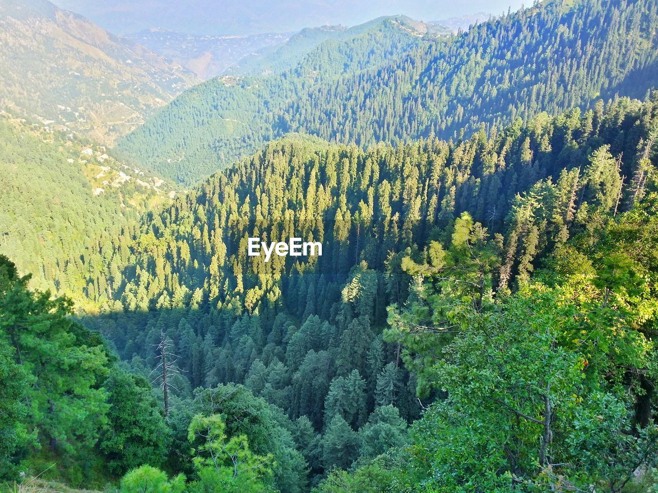 Scenic view of green mountains on sunny day