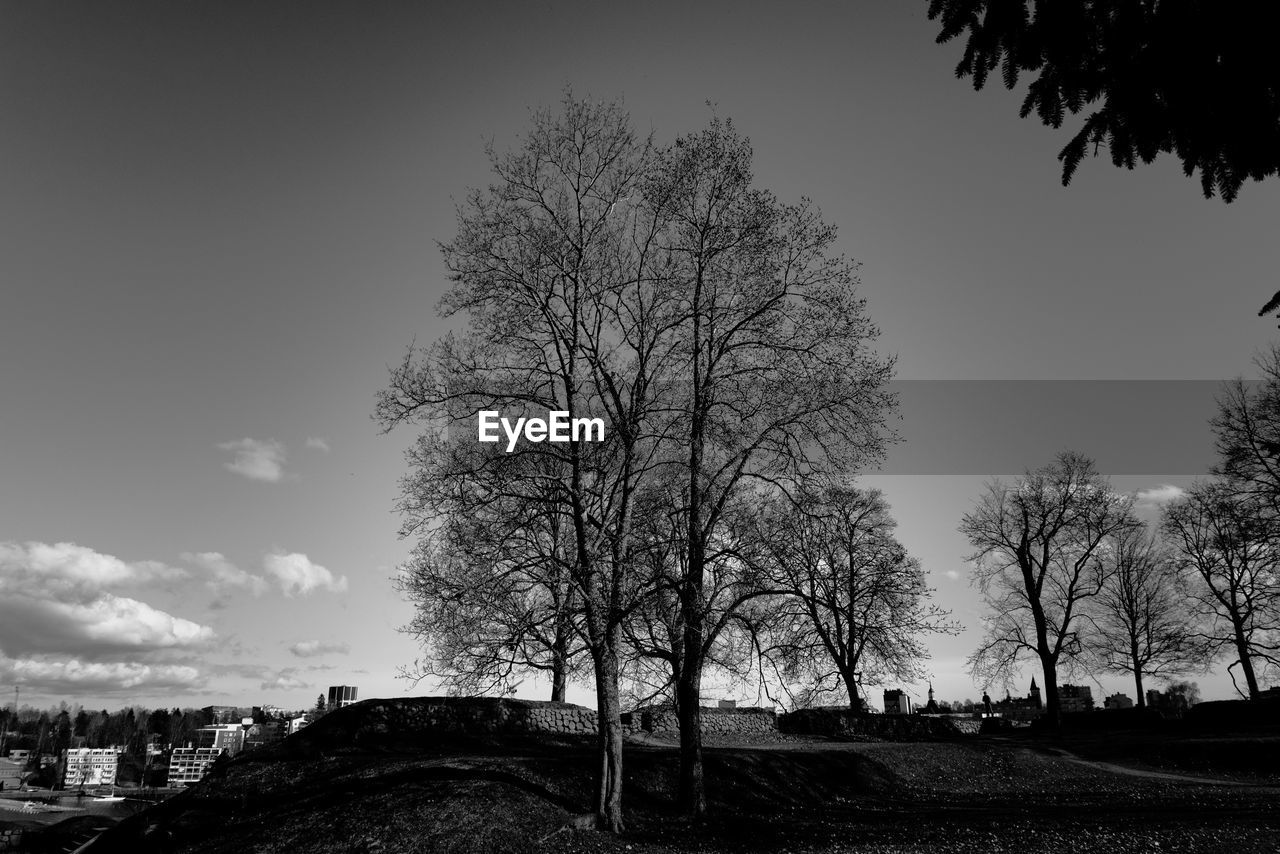 SILHOUETTE BARE TREE ON FIELD AGAINST SKY