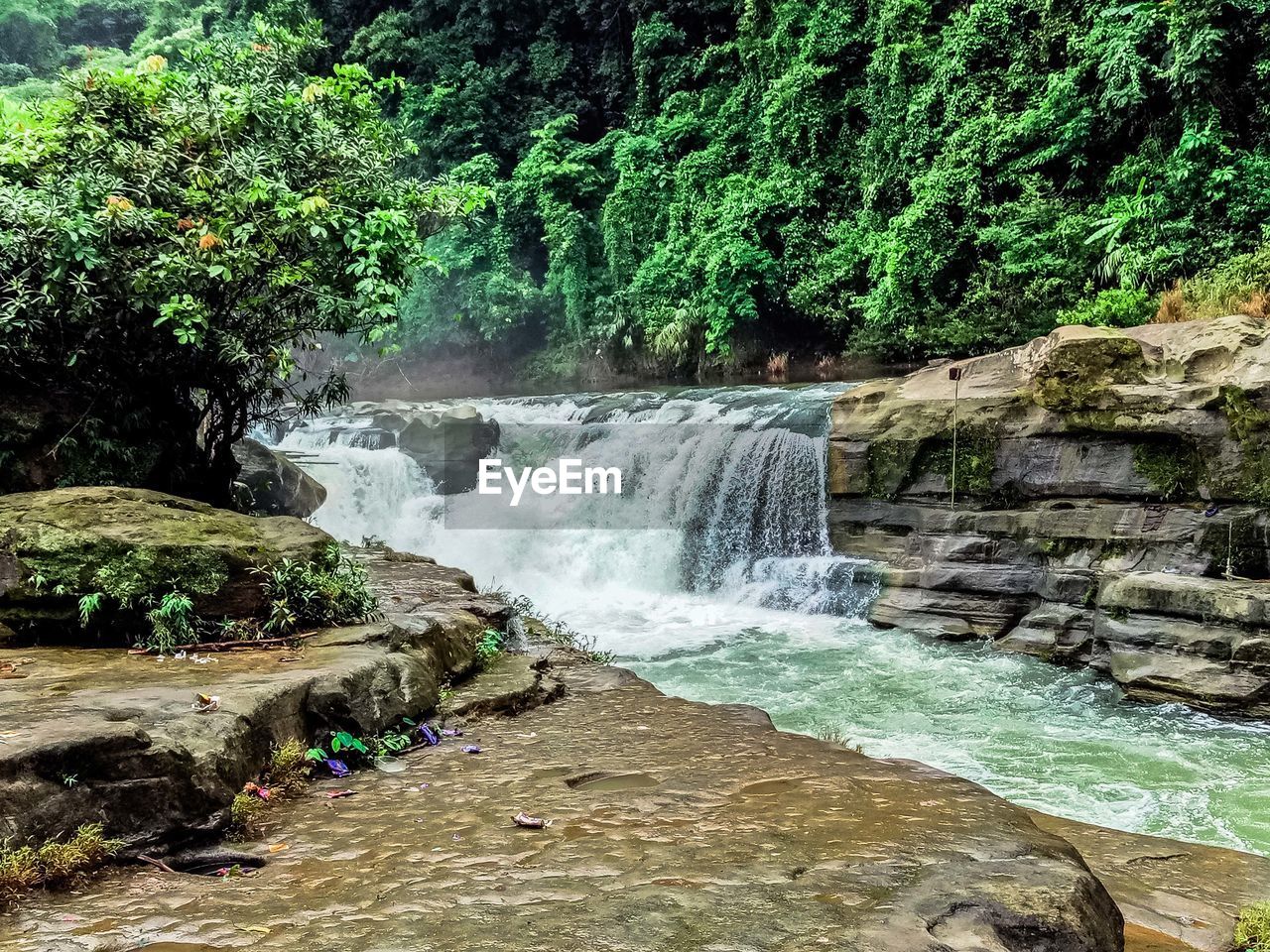 WATERFALL IN FOREST