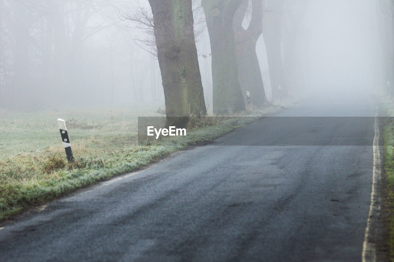 REAR VIEW OF MAN WALKING ON ROAD IN FOGGY WEATHER