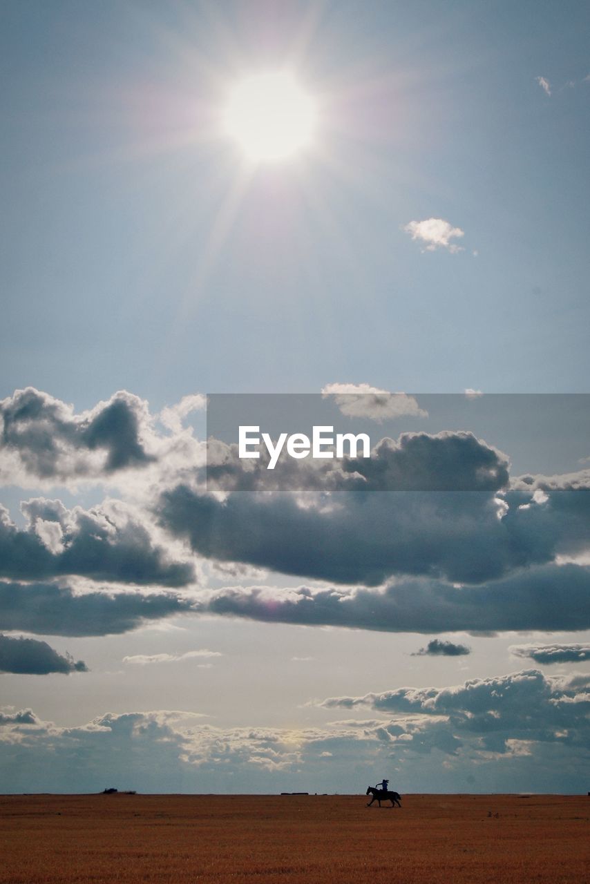 Scenic view of rural scene against sky