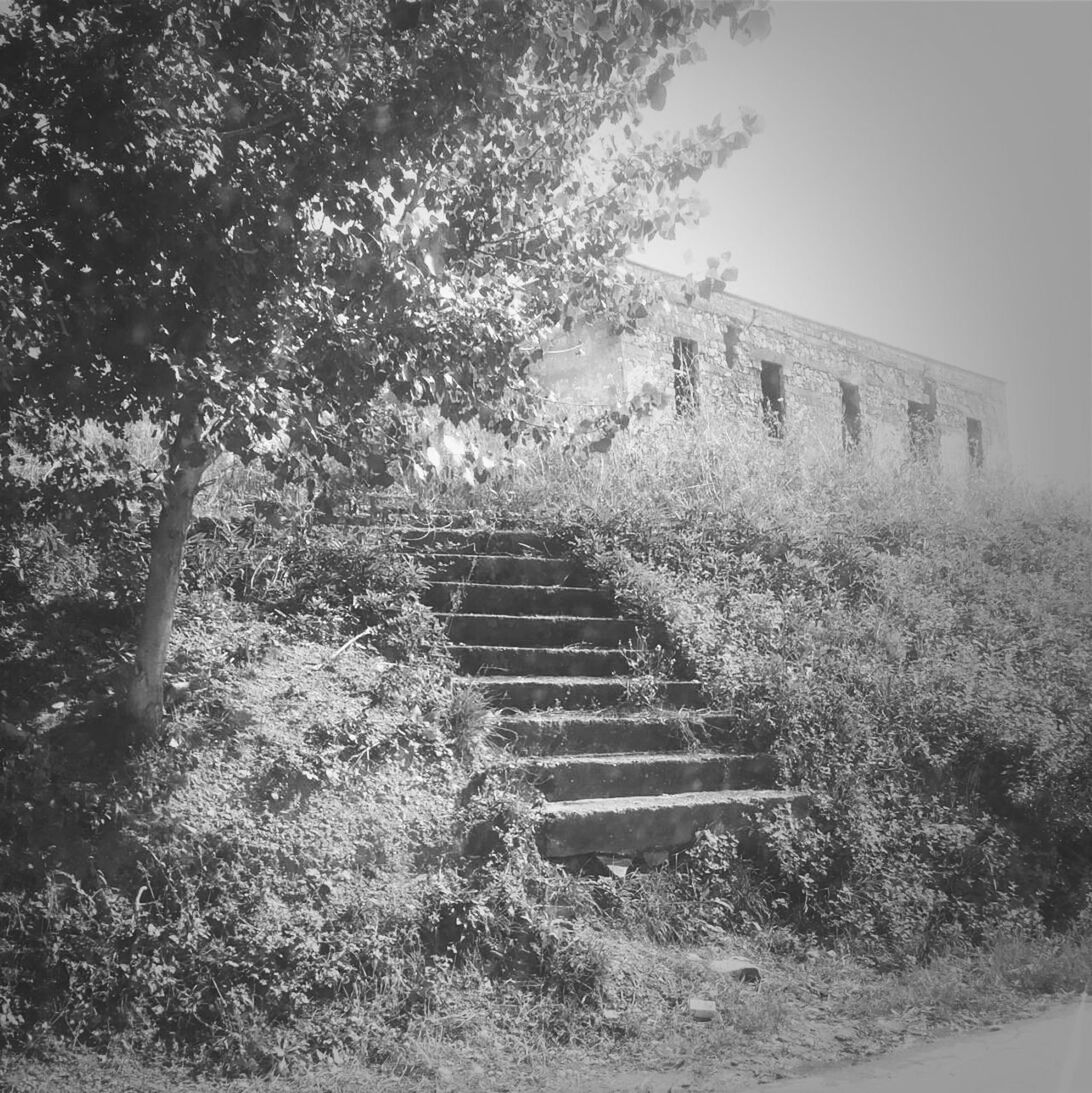 Steps leading towards old building