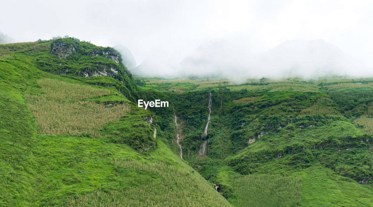 Scenic view of green landscape against sky