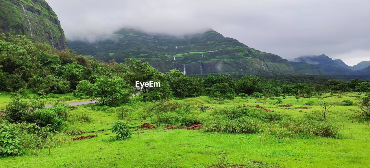 SCENIC VIEW OF LANDSCAPE AND MOUNTAINS AGAINST SKY