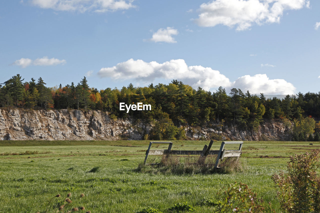 TREES GROWING ON FIELD AGAINST SKY
