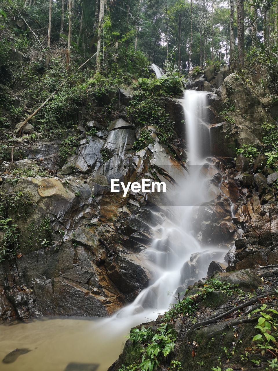 WATERFALL IN FOREST