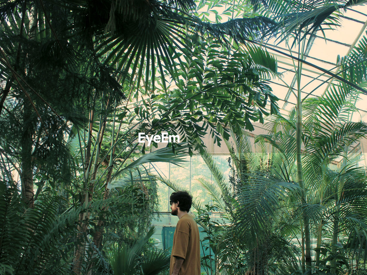 Side view of man standing in greenhouse