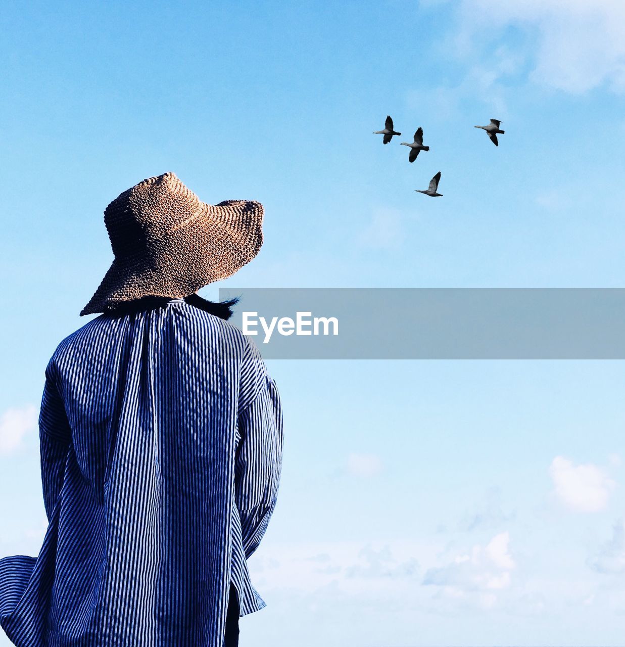 Rear view of woman looking at birds flying in blue sky