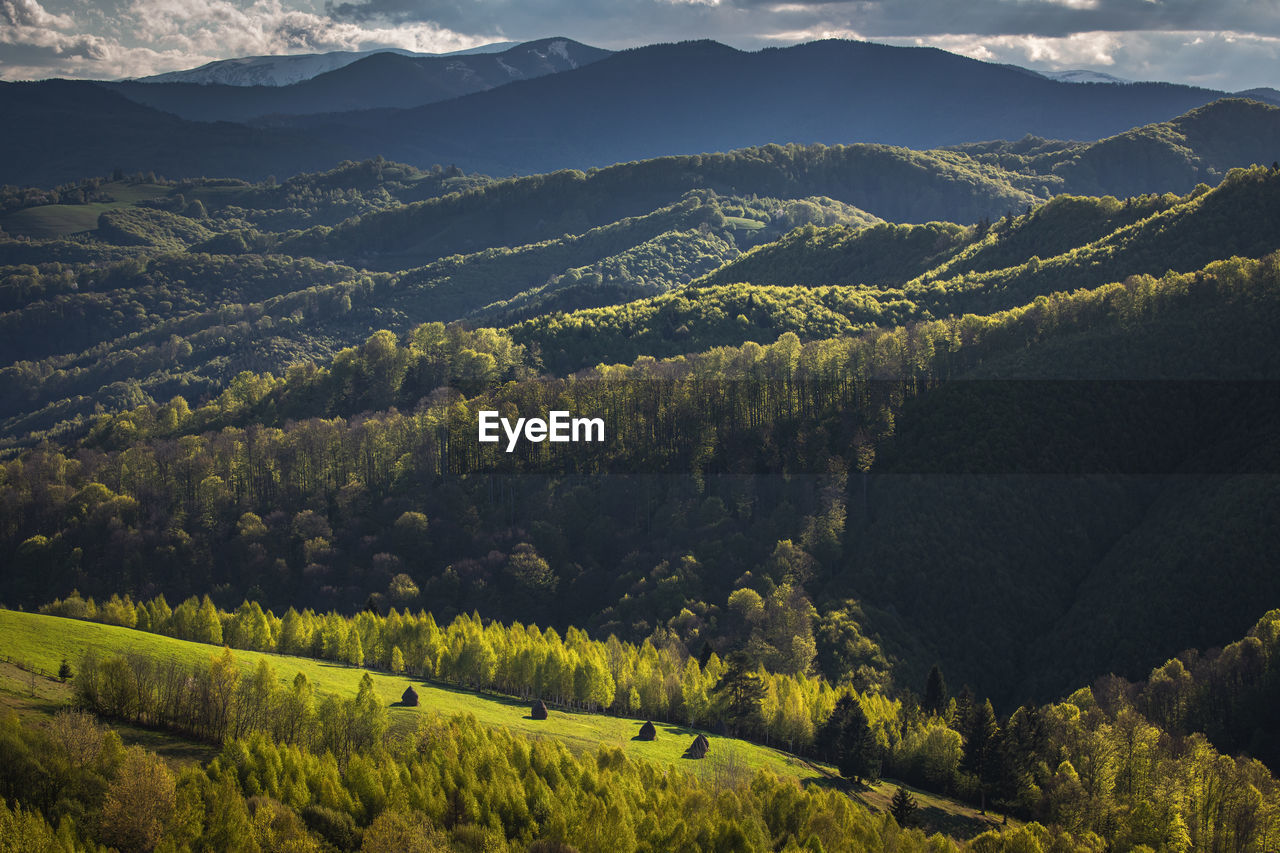 Landscape with the beauty of spring season in the mountain area.