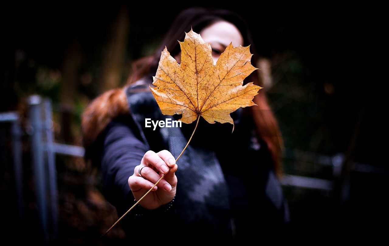 Close-up of hand holding autumn leaf