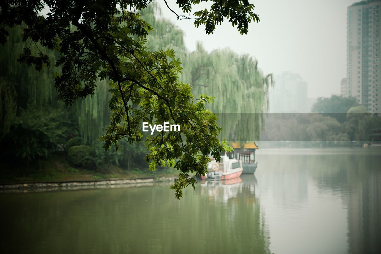 Scenic view of calm lake in foggy weather