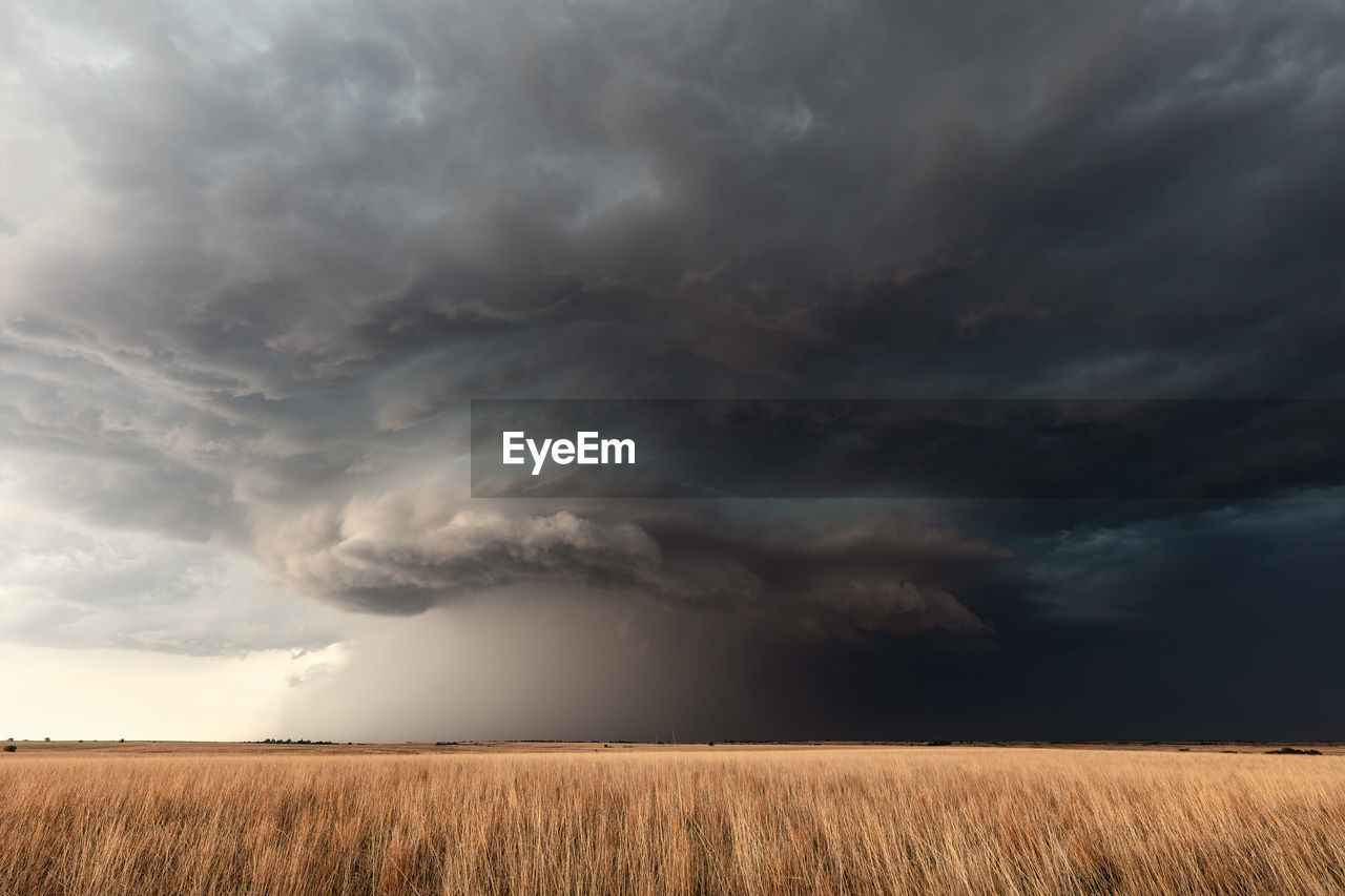 Dramatic supercell storm over a wheat field in kansas